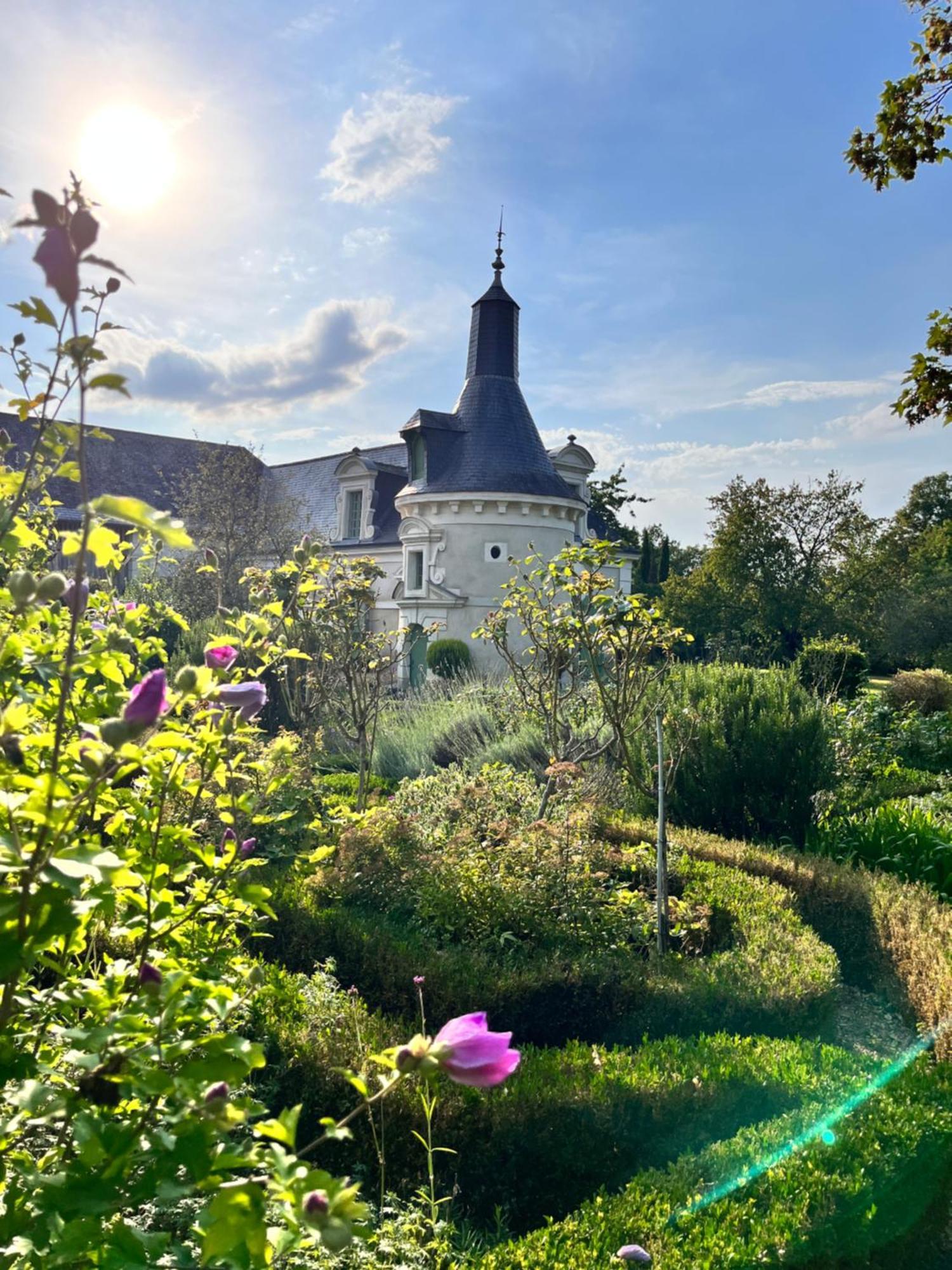 La Vieille Bouverie Savennieres Luaran gambar
